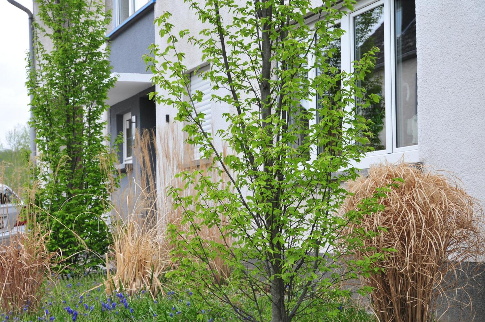 Apartment Noviomagus Neumagen-Dhron